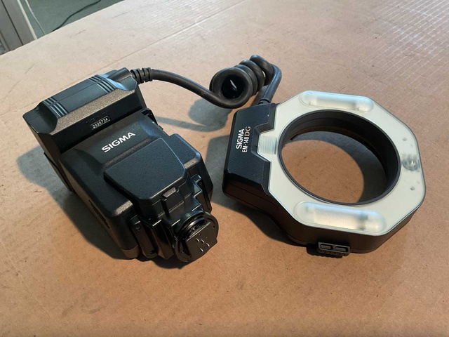 Sigma EM-140 DG Flitser