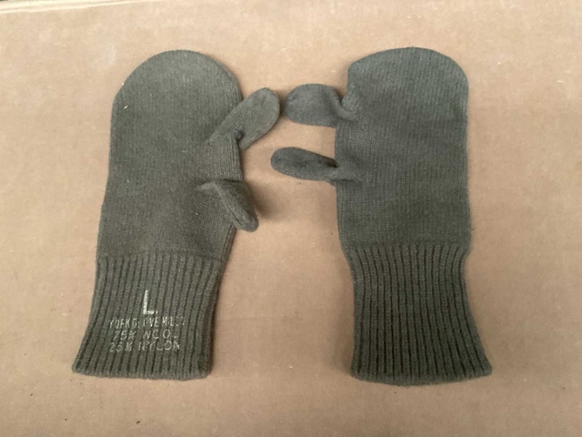 Gloves (2x)