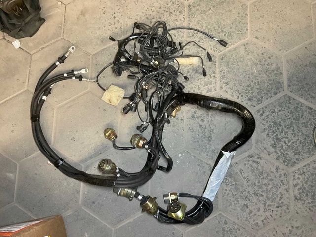 Branched wiring assembly