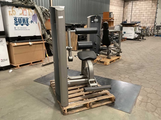 LifeFitness FZBE Back Extension
